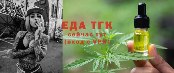твердый Заводоуковск