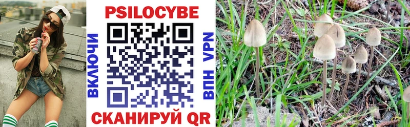 Галлюциногенные грибы Psilocybine cubensis  наркота  Княгинино 